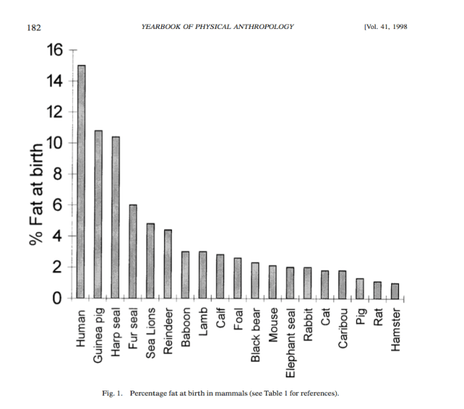 Kuzawa YEARBOOK OF PHYSICAL ANTHROPOLOGY 41:177–209 (1998)