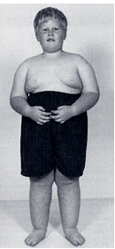 Screen Shot 2013-10-16 at 12.09.58 AM