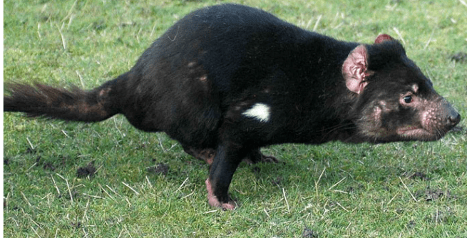 Screen Shot 2013-10-20 at 10.26.46 PM