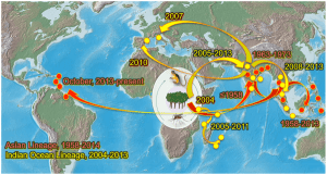 Arrival of Chikungunya Virus in the New World: Prospects for Spread and Impact on Public Health