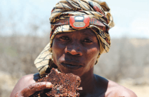 Hadza and honey