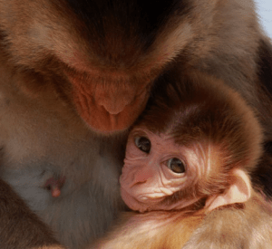 Screen Shot 2014-11-07 at 9.52.16 PM