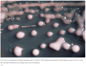 Screen Shot 2015-02-21 at 9.03.57 AM