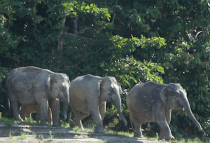 Screen Shot 2015-03-03 at 11.28.00 PM