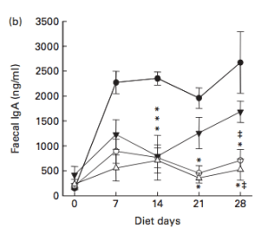 Cacao reduced fecal IgA