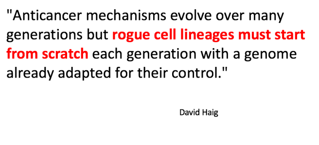 Screen Shot 2015-10-29 at 9.34.30 PM