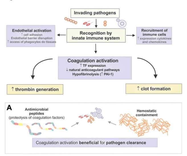 Screen Shot 2016-05-16 at 9.36.21 AM.png