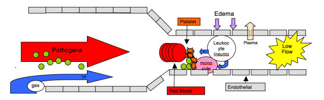 Screen Shot 2016-05-16 at 9.57.04 AM.png