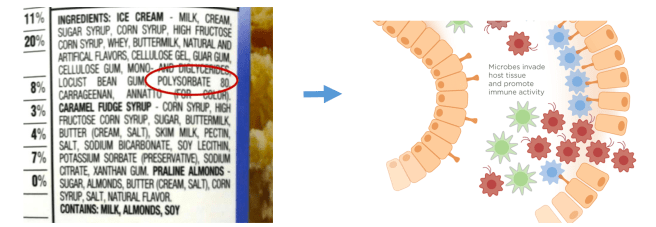 Screen Shot 2016-06-09 at 6.48.54 PM