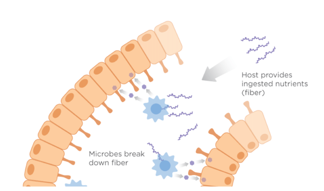 Screen Shot 2016-06-09 at 9.00.50 PM