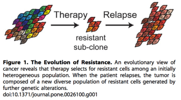 Screen Shot 2016-06-10 at 8.50.15 PM