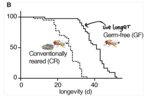 Screen Shot 2016-06-13 at 9.23.00 AM