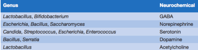 Lyte PharmaNutrition 2013 