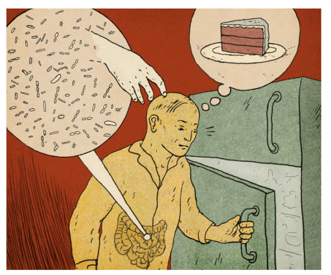 screen-shot-2016-09-08-at-6-49-06-pm