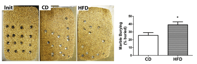 Marble burying anxious mice