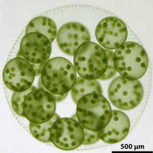 screen-shot-2016-10-24-at-5-59-39-am