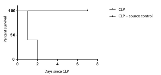 Screen Shot 2017-08-02 at 1.13.27 PM