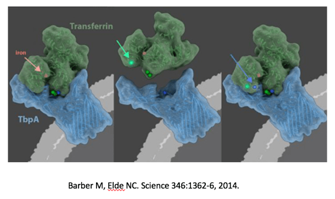 Screen Shot 2018-01-09 at 3.02.17 PM