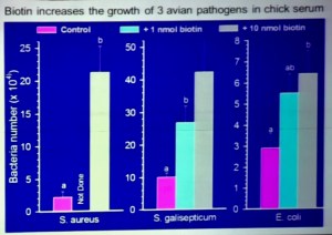 Screen Shot 2018-01-13 at 5.24.16 PM