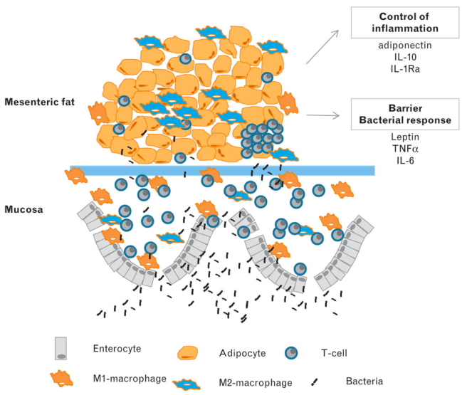 Screen Shot 2018-01-15 at 11.30.10 PM