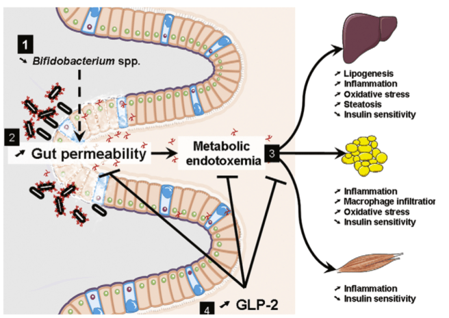 Screen Shot 2018-03-11 at 1.26.43 PM.png