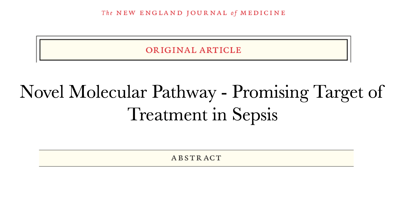 Screen Shot 2018-11-29 at 10.41.56 AM.png