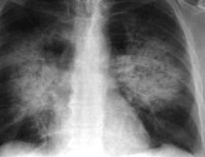 Screen Shot 2019-02-02 at 7.55.59 AM