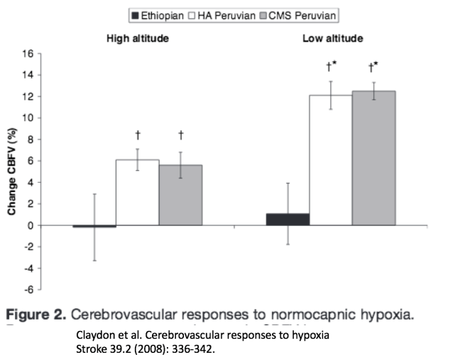 Screen Shot 2019-02-11 at 3.22.18 PM