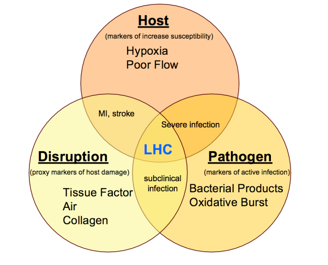 Screen Shot 2019-02-12 at 12.00.46 PM