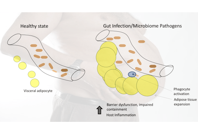 Screen Shot 2019-02-28 at 7.36.20 PM.png