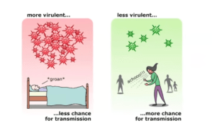 Screen Shot 2020-04-25 at 11.10.18 AM